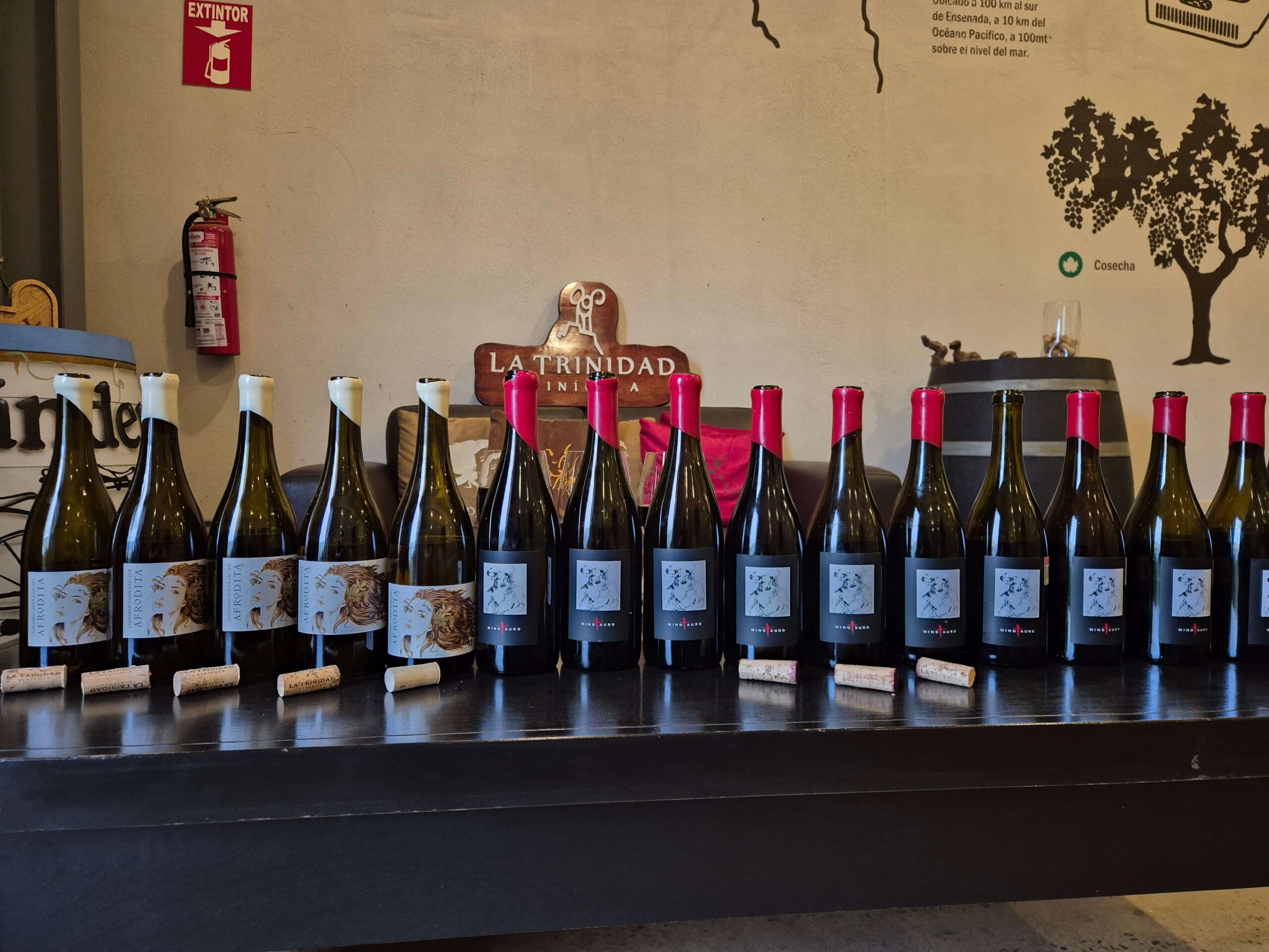La Trinidad Vinicola